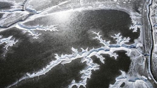 仁川江华郡船头港滩涂生树