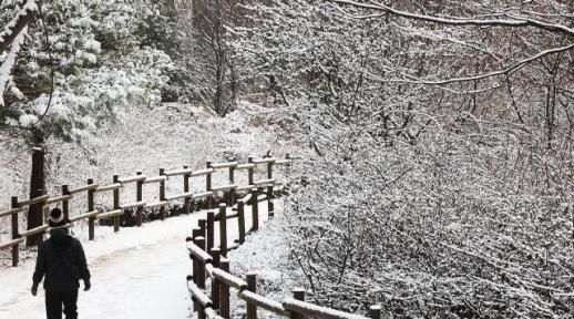 호남서해안·제주 눈 쏟아진다…예상 적설량은?