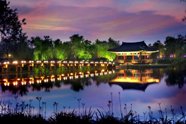 궁남지 야경사진부여군