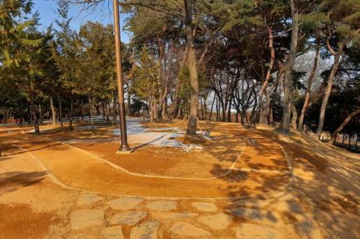 논산시, 도심 속 힐링… 맨발걷기길 조성으로 주민 건강 증진