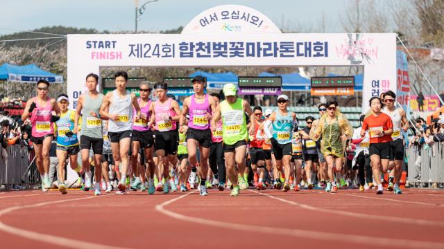 제24회 합천벚꽃마라톤대회 개최 모습사진합천군