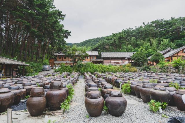신세계 체험형 설 선물 나만의 장 만들기 홍보 이미지 사진신세계백화점