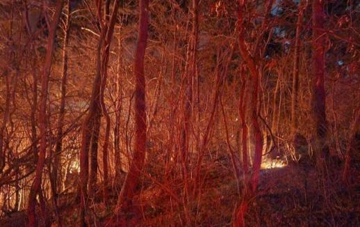 [권규홍의 리걸마인드] 한덕수 23년 때린 이진관 재판장...박성재·최상목도 중형 내릴까