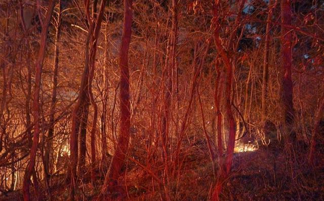 사진연합뉴스·부산소방본부