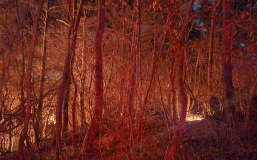 [권규홍의 리걸마인드] 한덕수 23년 때린 이진관 재판장...박성재·최상목도 중형 내릴까