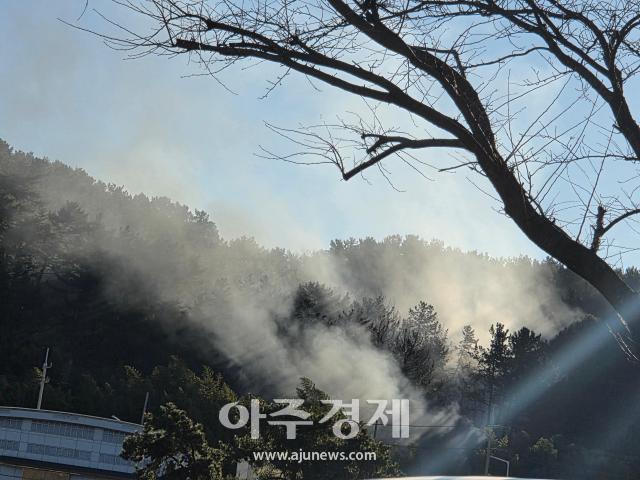 사진박연진 기자