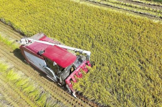 Dân số nông thôn Hàn Quốc lần đầu xuống dưới mốc 2 triệu người…Tỷ lệ cao tuổi chiếm 56%