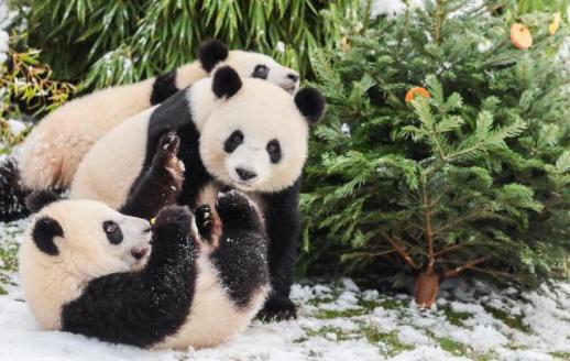 금·은·구리 값 폭등에...中 보석상가에 구리바 등장