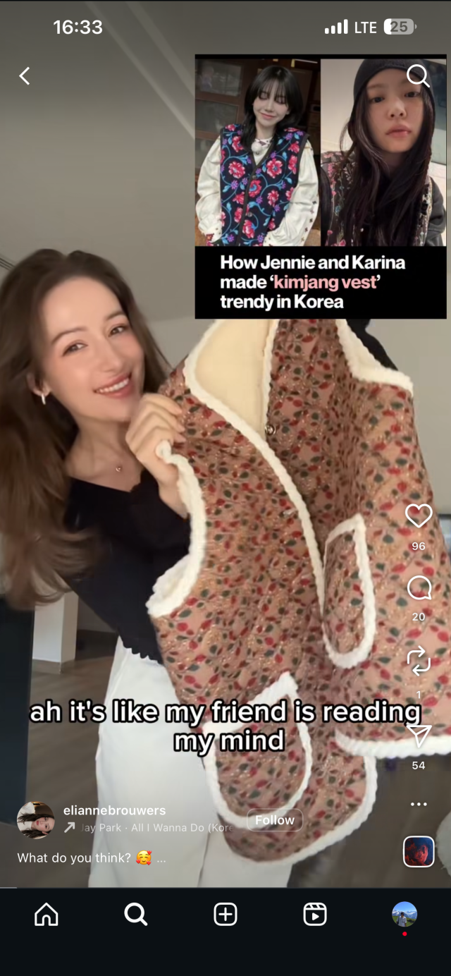 This photo captured from Instagram show influencers reacting to gimjang vest