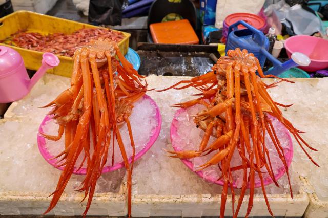 Red snow crabs are on display at Sokcho Jungang Market in Sokcho Gangwon State on Jan 17 2026 AJP Yoo Na-hyun