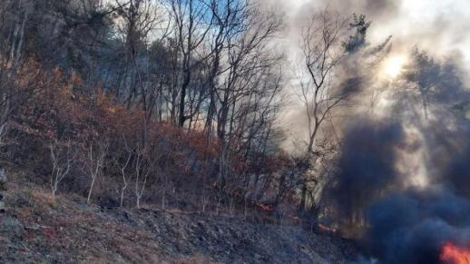 [내일 날씨] 출근길 한파 경보…내일 아침 영하 19도, 전국 냉동고 추위 지속
