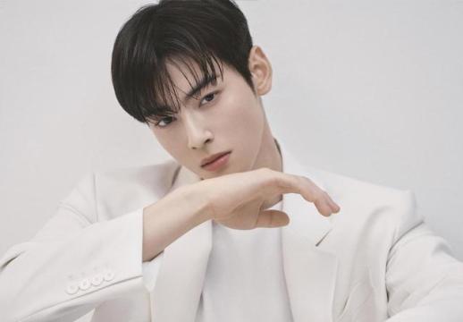 Singer-turned-actor Cha Eun-woo under scrutiny for alleged tax evasion
