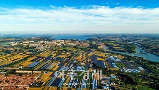 사진중국산동망