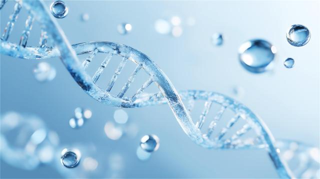 이미지게티이미지뱅크