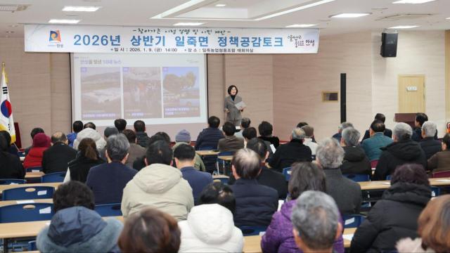 사진김보라 시장 SNS