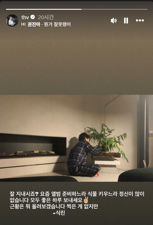 For K-pop fans, star pets — and even plants — draw equal attention