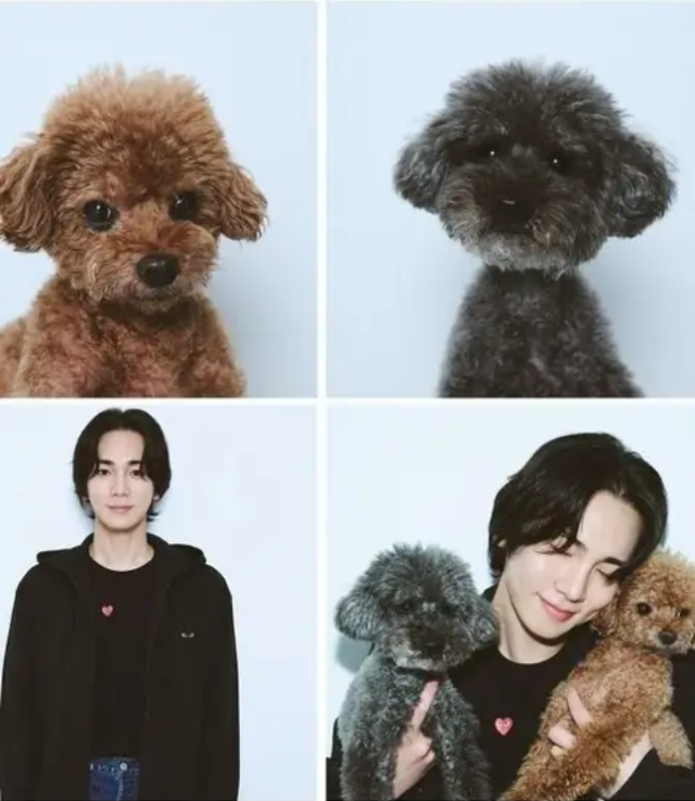 This photo capture from SHINee Keys Instagram show photo of Keys pet COMME des GARÇONS Photo captured from KEYs Instagram page