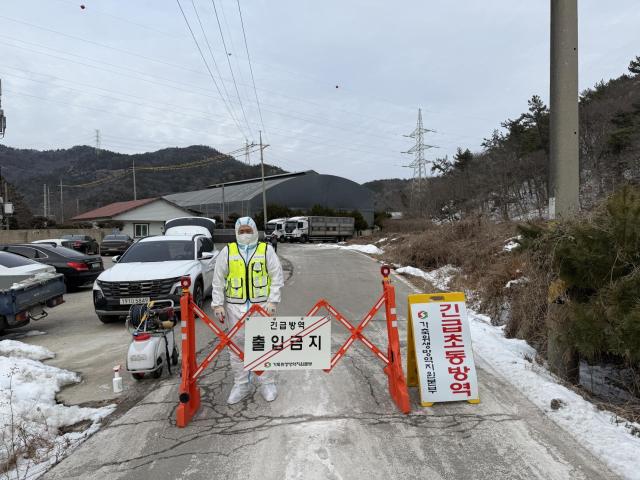 전라남도는 지난 26일 영광의 한 양돈농장에서 아프리카돼지열병ASF이 발생함에 따라 신속한 방역조치와 확산 차단에 총력을 기울이고 있다사진전남도