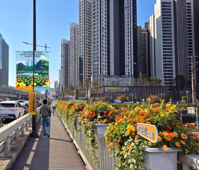 선형정원 네트워크 난간 걸이화분 사진서울시