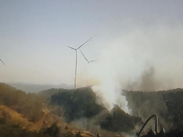 완도 산불 사진연합뉴스·전남소방본부