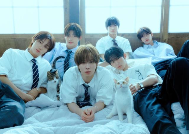 그룹 투어스 사진플레디스