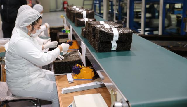 김 가공 사진사진전남도