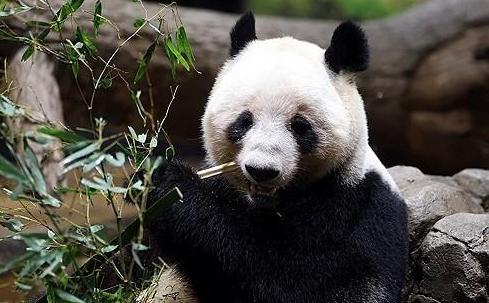 HD현대에코비나, 베트남 두산비나 인수 완료... 3000명 고용·신산업 승부수