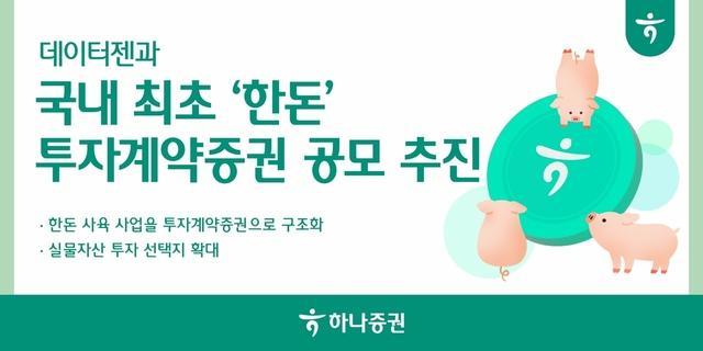하나증권은 데이터젠과 국산 돼지한돈를 기초자산으로 한 가축투자계약증권 제1호 공모를 추진한다사진하나증권
