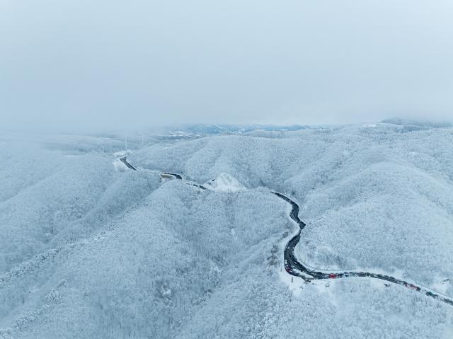 ‘대관령 옛길’ 사진강릉시
