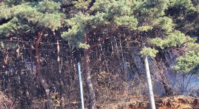 충남 홍성에서 산불이 발생했다 사진산림청