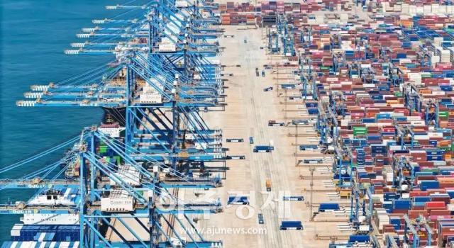 사진중국산동망