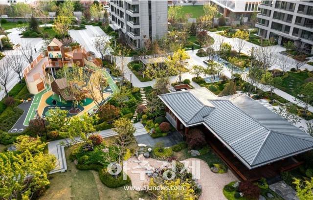 사진중국산동망