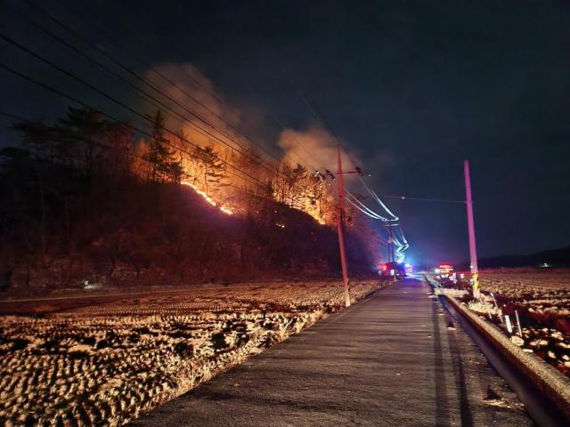사진산림청·연합뉴스