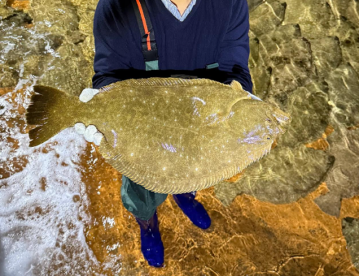 [유통 뉴스픽] 이마트·G마켓·11번가·NS홈쇼핑