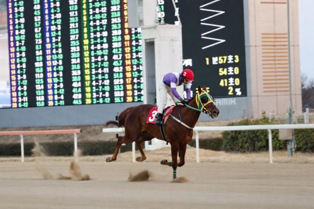 최시대 기수가 기승한 탐라슈퍼4세 거가 결승선을 통과하고 있다사진렛츠런파크 부산경남