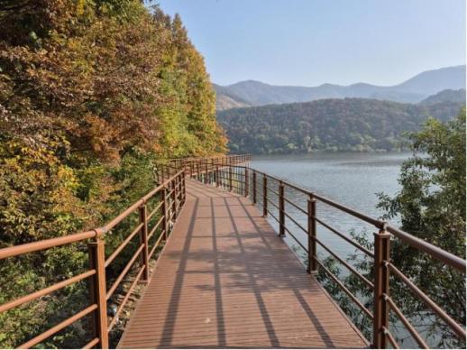 막힘없이 한 바퀴…완주군, 구이저수지 둘레길 상반기 완공