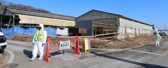31일 구제역이 발생한 인천 강화군 한 한우농장 앞에서 방역본부 관계자들이 출입을 통제하고 있다 사진연합뉴스