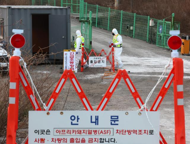 지난달 17일 아프리카돼지열병ASF 발생이 확인된 강원 강릉시 한 양돈농가에서 방역 관계자들이 출입을 통제하고 있다 사진연합뉴스