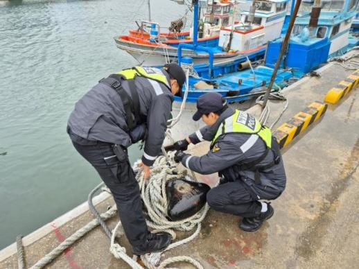 동해지방해양경찰청, 2026년 설 연휴 바다 안전관리 대책 시행… 20일간 총력 대응
