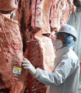 전남동물위생시험소, 설 맞아 신선·안전 축산물 공급 온힘
