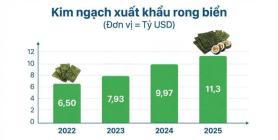 Rong biển Hàn Quốc được ví như "vàng"…Giá tăng sốc, xuất khẩu bùng nổ