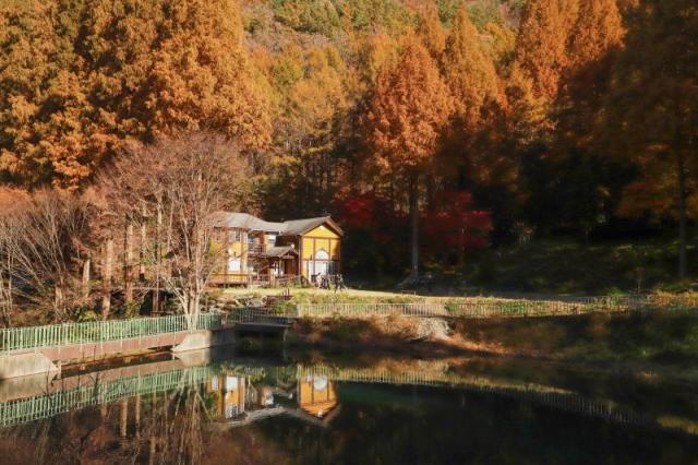 온빛자연휴양림사진논산시