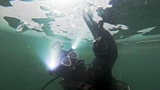 화천산천어축제 재난구조대사진화천군