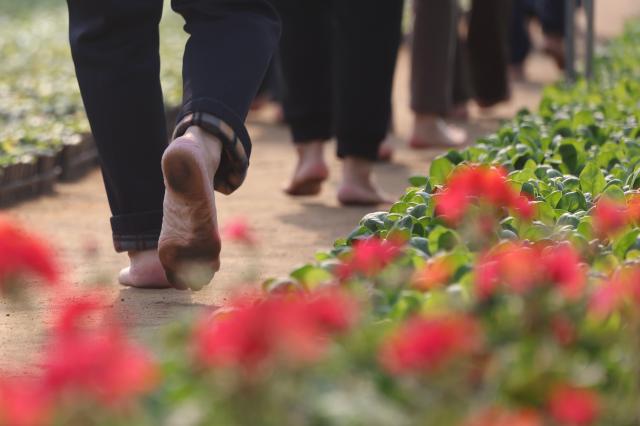 Barefoot, in spite of the cold