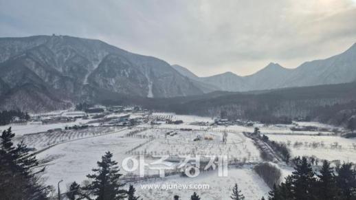 울릉도 나리분지, 눈으로 덮인 천혜의 힐링 명소