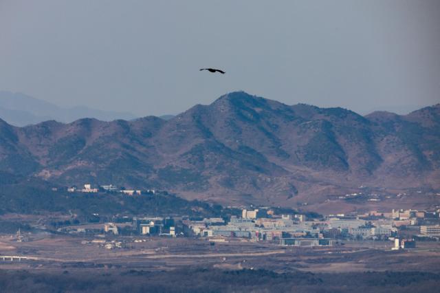 DMZ管辖权问题争论升温 韩方提议韩美共同管理