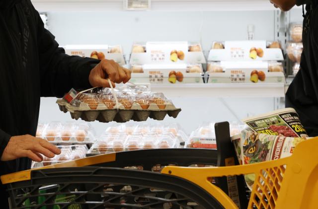 서울 한 대형마트 계란 판매대 모습 사진연합뉴스