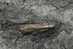 7th-Century Baekje Bamboo Flute Found in Palace Latrine Pit, Officials Say