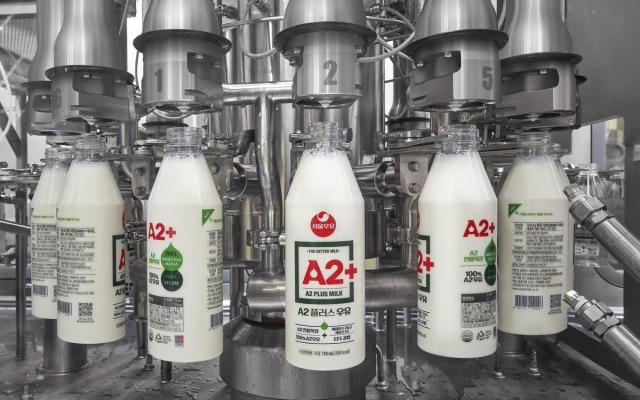 关税下调叠加需求萎缩 韩国乳业面临结构性压力