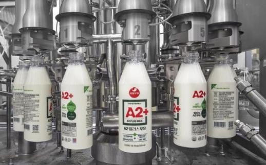 关税下调叠加需求萎缩 韩国乳业面临结构性压力